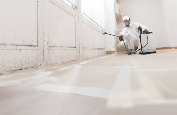 24/7 Emergency Basement Mold Removal experts in Point Pleasant, NJ